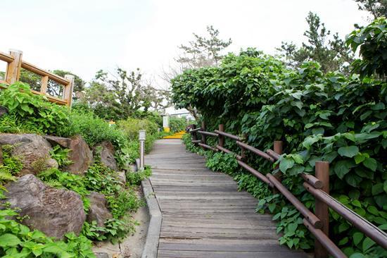 Haeansung Pension Seogwipo Bagian luar foto